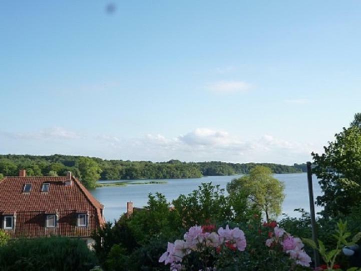 Ferienwohnung Sielbeck, Urlaub Mit Hund, Wlan Verfuegbar Eutin Esterno foto